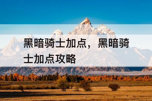 黑暗骑士加点，黑暗骑士加点攻略