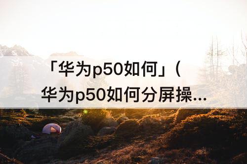 「华为p50如何」(华为p50如何分屏操作)