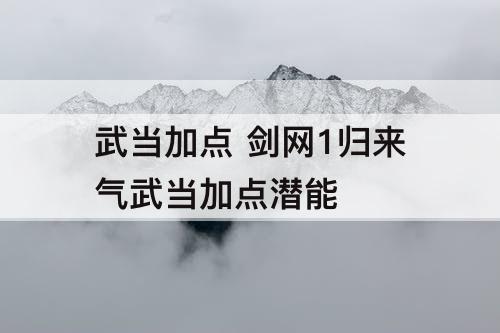武当加点 剑网1归来气武当加点潜能