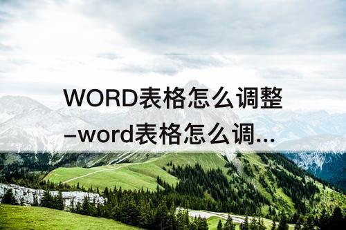 WORD表格怎么调整-word表格怎么调整行间距