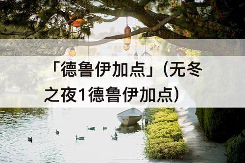 「德鲁伊加点」(无冬之夜1德鲁伊加点)