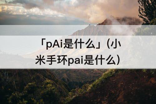 「pAi是什么」(小米手环pai是什么)