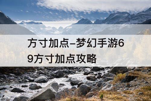 方寸加点-梦幻手游69方寸加点攻略