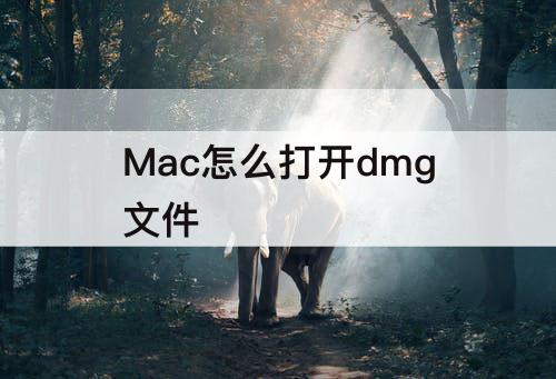 Mac怎么打开dmg文件