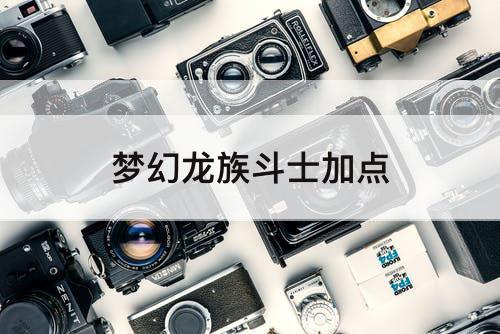 梦幻龙族斗士加点
