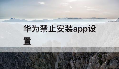 华为禁止安装app设置