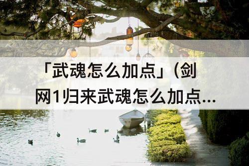 「武魂怎么加点」(剑网1归来武魂怎么加点)