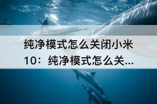 纯净模式怎么关闭小米10：纯净模式怎么关闭小米10x