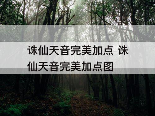诛仙天音完美加点 诛仙天音完美加点图