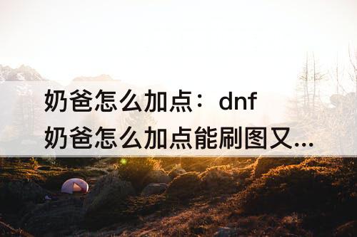 奶爸怎么加点：dnf奶爸怎么加点能刷图又加buff