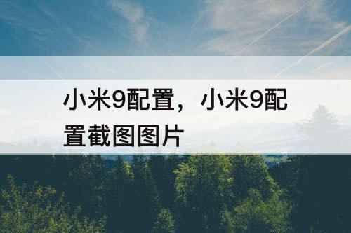 小米9配置，小米9配置截图图片