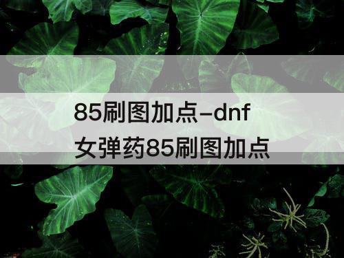 85刷图加点-dnf女弹药85刷图加点
