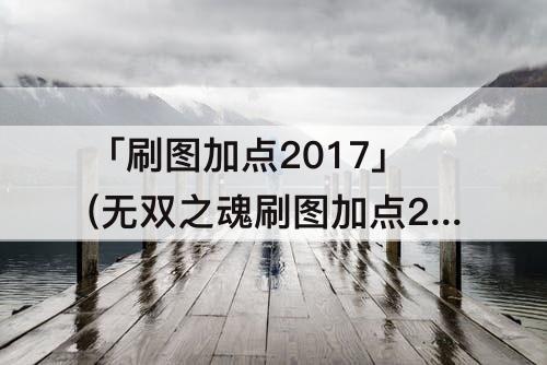 「刷图加点2017」(无双之魂刷图加点2017)