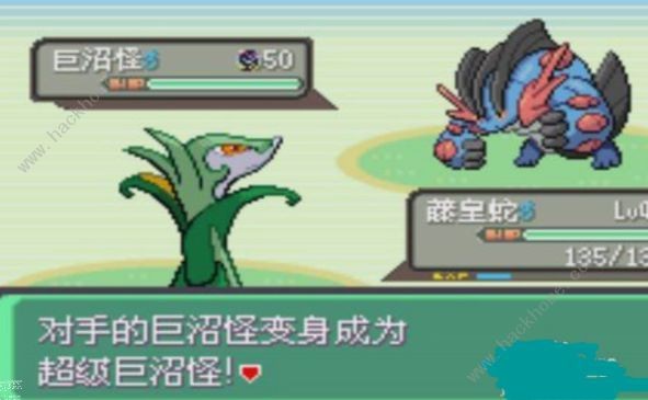 16f64a385c3cd902.jpeg