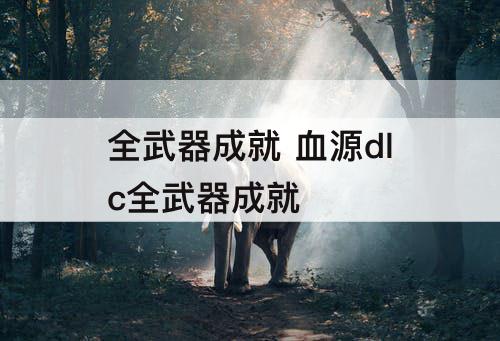 全武器成就 血源dlc全武器成就