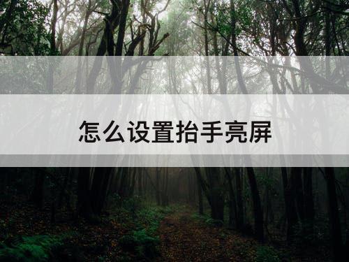 怎么设置抬手亮屏