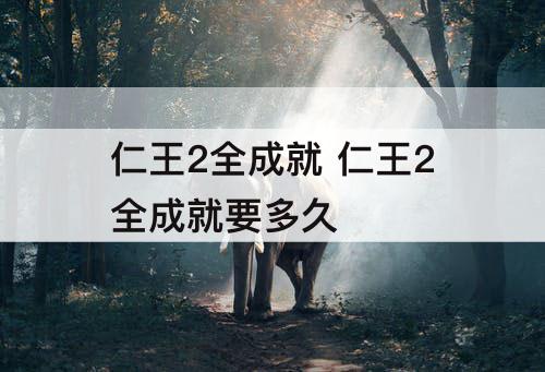 仁王2全成就 仁王2全成就要多久
