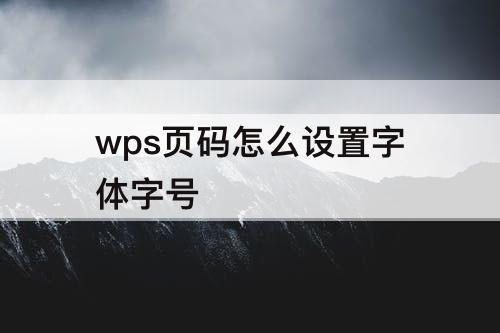 wps页码怎么设置字体字号