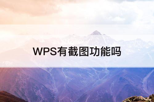 WPS有截图功能吗
