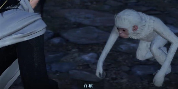 16f64a76cad22e1c.jpeg