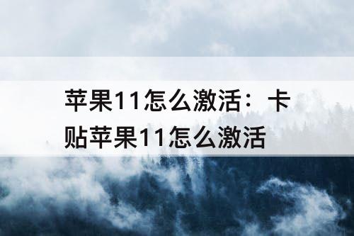 苹果11怎么激活：卡贴苹果11怎么激活
