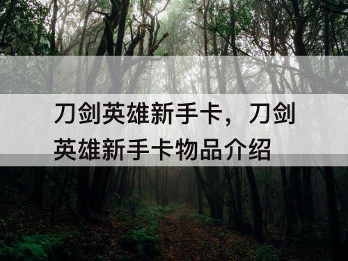 刀剑英雄新手卡，刀剑英雄新手卡物品介绍