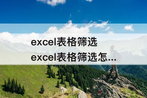excel表格筛选 excel表格筛选怎么显示计数