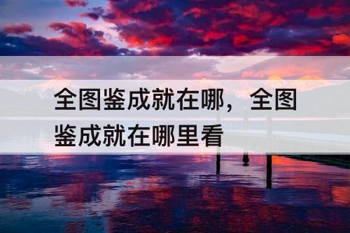 全图鉴成就在哪，全图鉴成就在哪里看