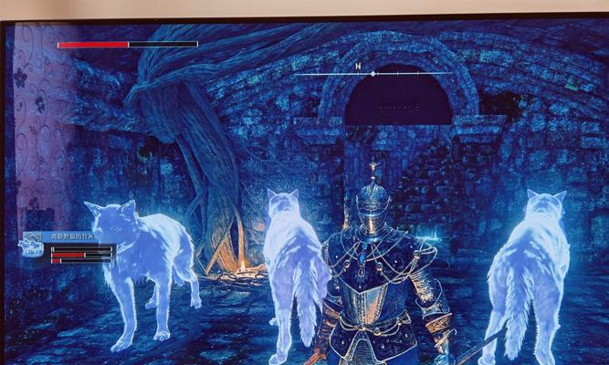 全面解析《艾尔登法环》标准版和豪华版的区别