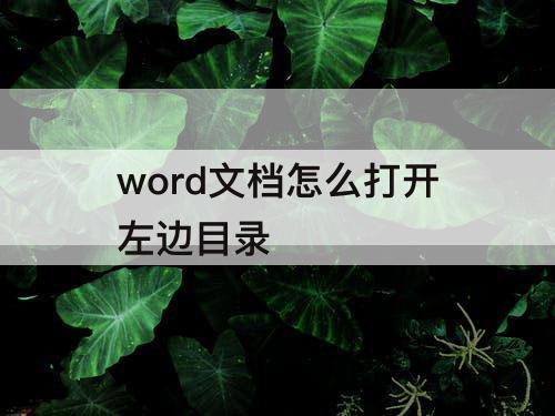 word文档怎么打开左边目录