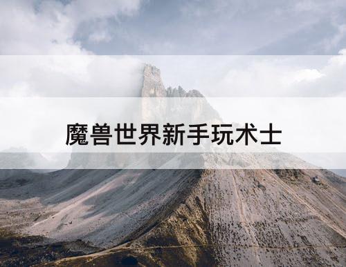 魔兽世界新手玩术士