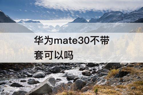 华为mate30不带套可以吗