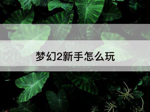 梦幻2新手怎么玩