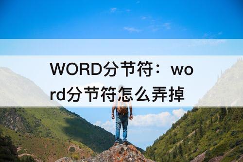 WORD分节符：word分节符怎么弄掉