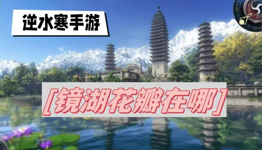 16f64cb09267d981.jpeg