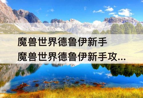 魔兽世界德鲁伊新手 魔兽世界德鲁伊新手攻略