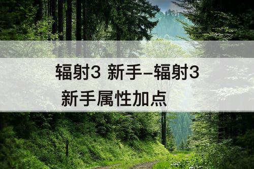 辐射3 新手-辐射3 新手属性加点