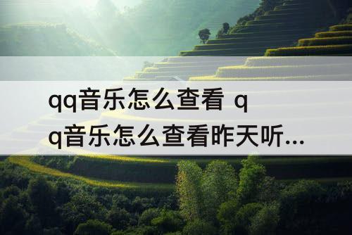 qq音乐怎么查看 qq音乐怎么查看昨天听歌时间