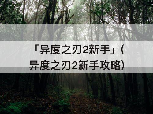 「异度之刃2新手」(异度之刃2新手攻略)