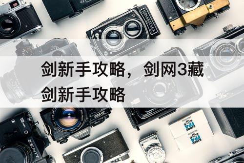 剑新手攻略，剑网3藏剑新手攻略