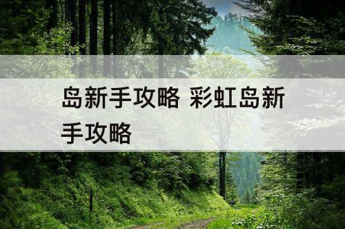 岛新手攻略 彩虹岛新手攻略