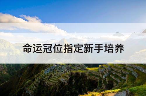 命运冠位指定新手培养