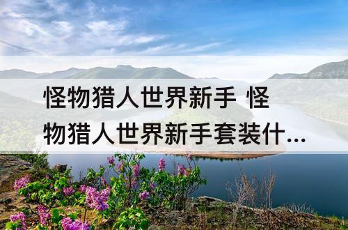 怪物猎人世界新手 怪物猎人世界新手套装什么时候换