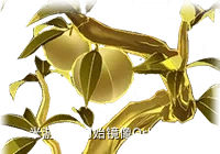 16f64b89be556ac5.png