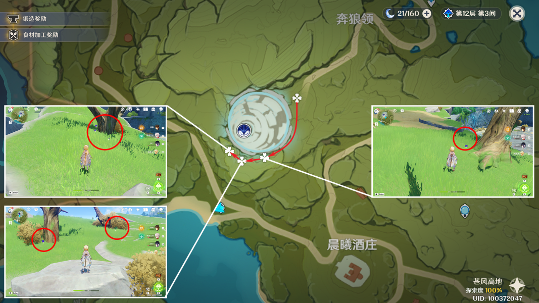 原神钩钩果采集点图3