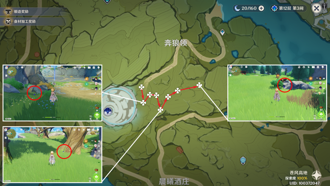 原神钩钩果采集点图4