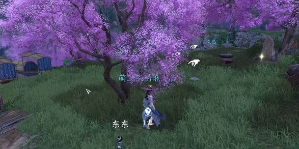16f64b0b0df326ee.png
