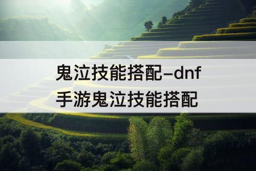 dqi62y792c1.jpeg
