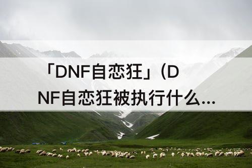 qb0xuqkl104.jpeg
