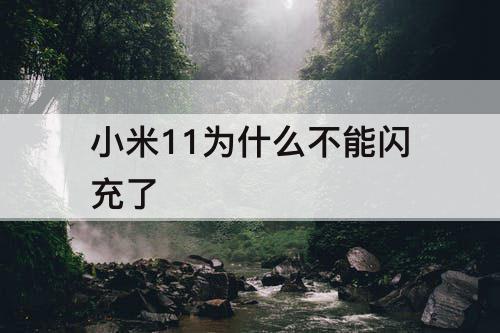 87q333b1xl5.jpeg